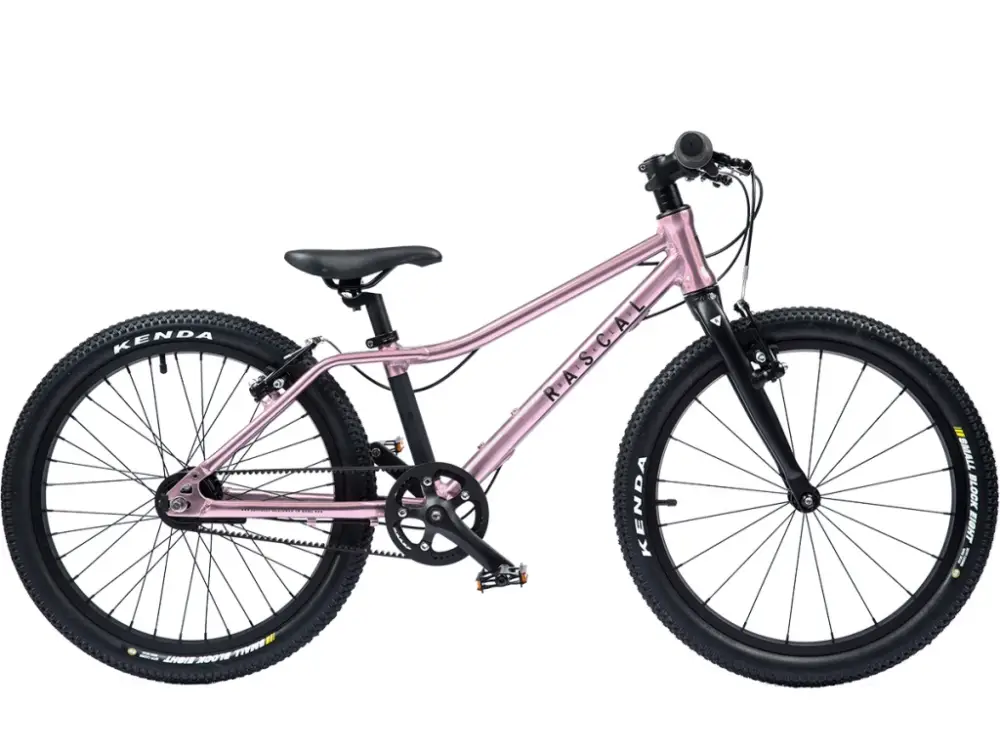 Rascal 20" Sturmey Archer Raspberry (růžová) Nejprodávanější