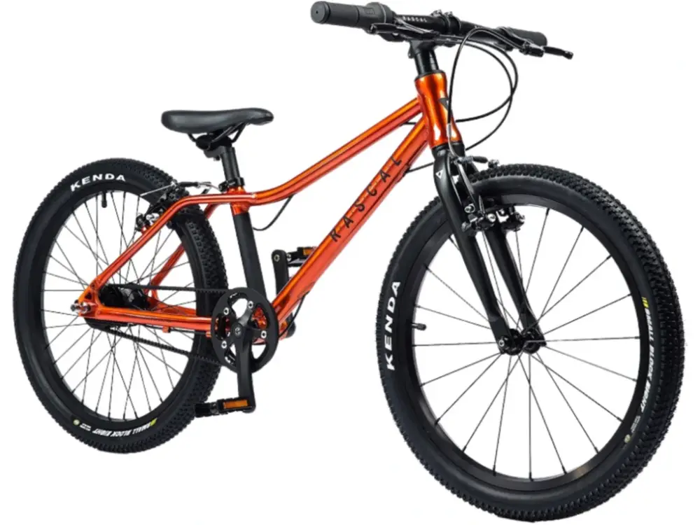 Rascal 20" Sturmey Archer Flame (oranžová) Oblíbený