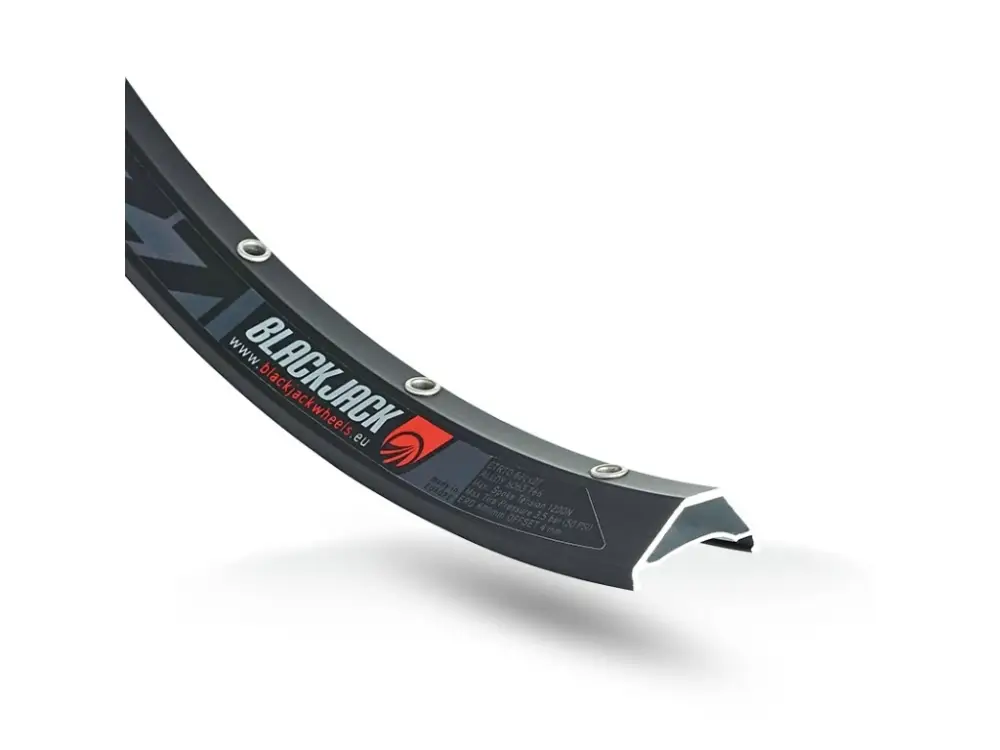 Rychlé Dodání Ráfek RODI BlackJack 29" READY-27 black 32děr AD