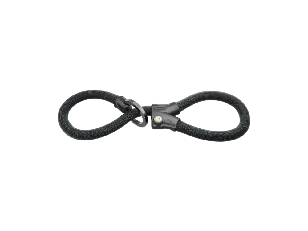 Sezónní Sleva Abus zámek řetězový s okem Infinity Loop 1806 (klíč) (černá)