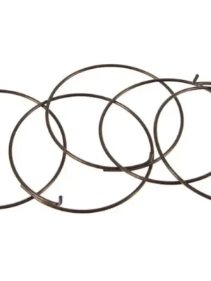 Kup Teď Náhradní díly FULCRUM pawl spring (5 pcs.)