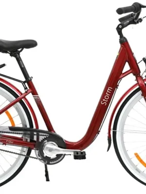 kolo STORM 28" Flow 3sp. 17" bordó Zlevněný