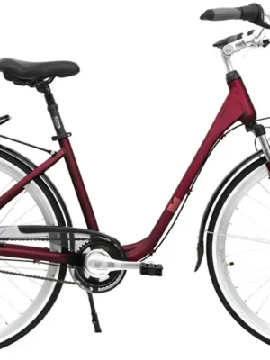 kolo STORM 28" Paris 7sp. 17" bordó Sleva